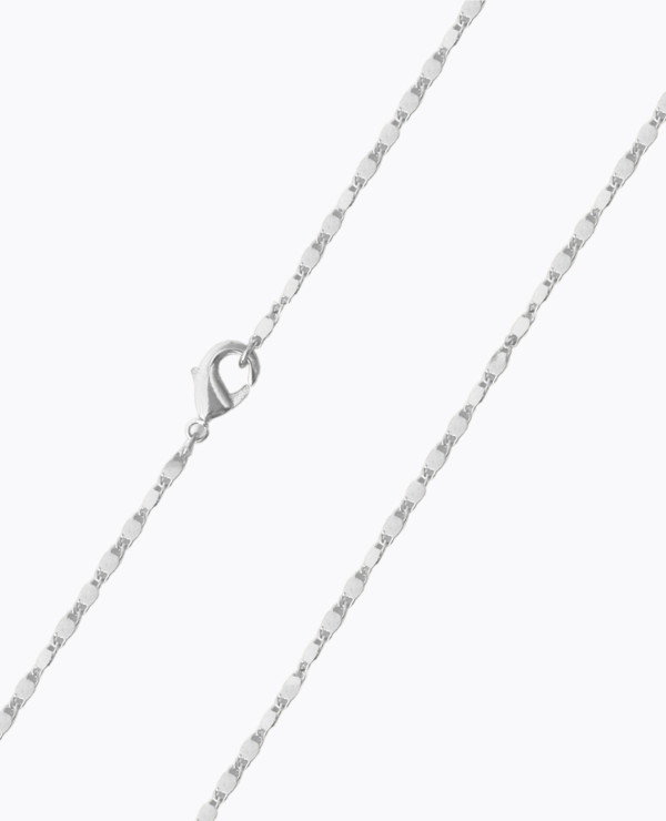Faceted chain