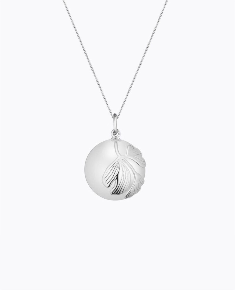 Bola GINKGO sur chaine