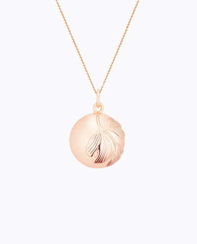 Bola GINKGO sur chaine...