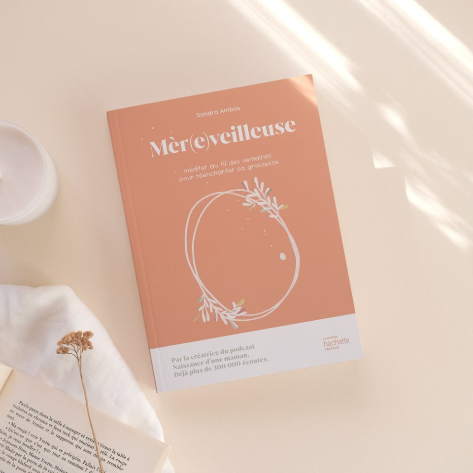 Pregnancy guide book (French)