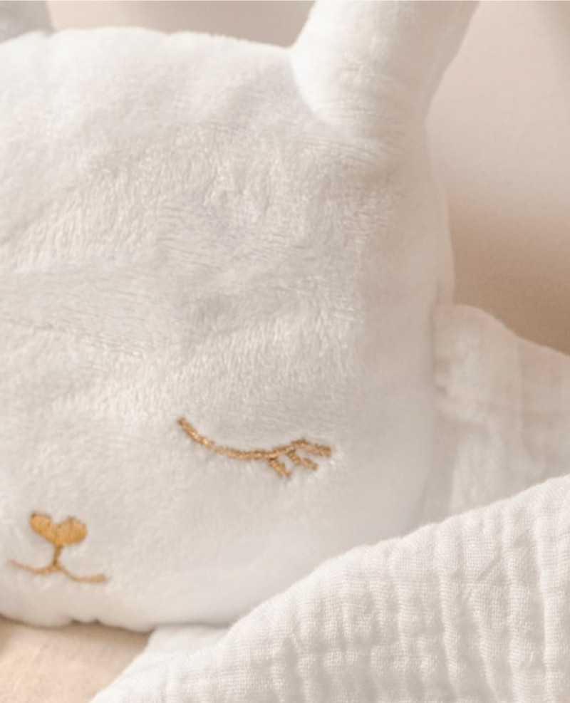 Peluche Coniglio
