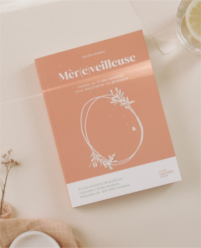 Pregnancy guide book (French)