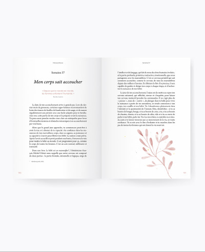 Pregnancy guide book (French)