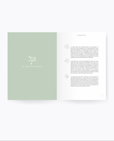 Pregnancy guide book (French)