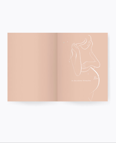 Pregnancy guide book (French)