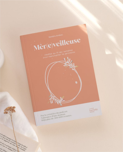 Pregnancy guide E-BOOK...